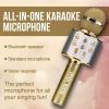 imageMockins Silver Bluetooth Karaoke Microphone for Kids with Built in Wireless Speaker Wireless Microphone Karaoke Compatible with iOS ampamp Android  AllinOne MicGold